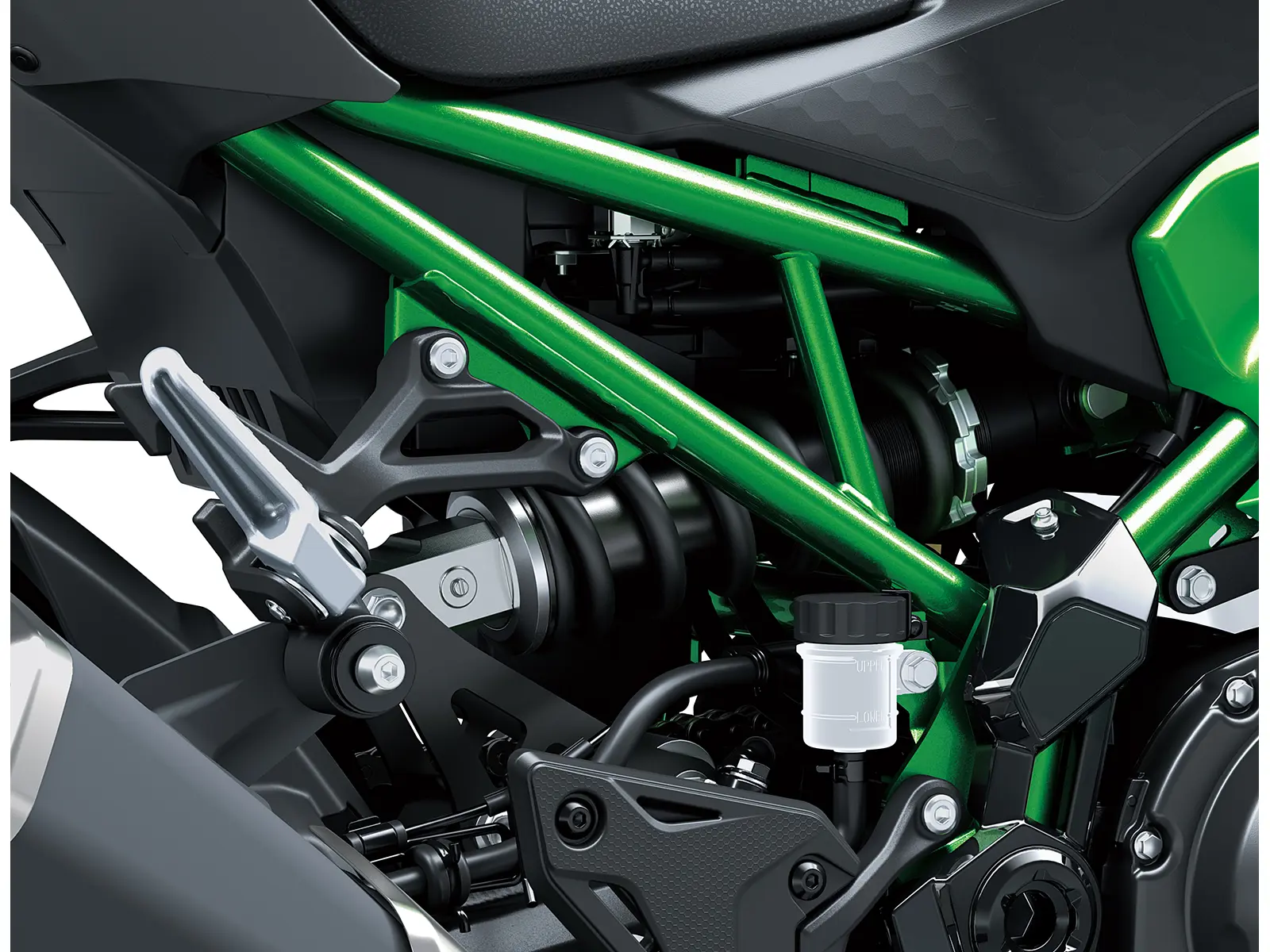 2025 Z900 studio image