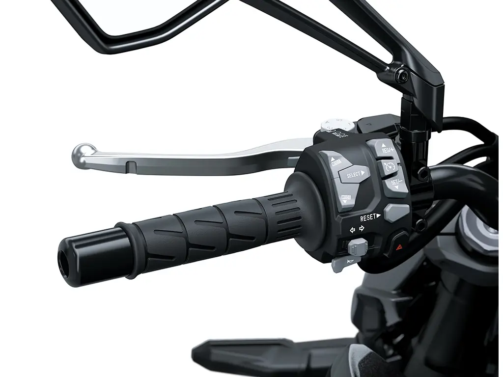 Electronic Cruise Control