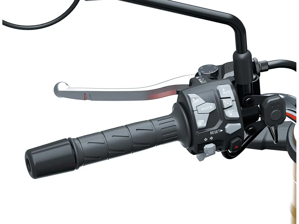 Electronic Cruise Control